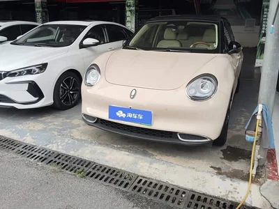 2024 Ora Good Cat 401km Premium 126kW, фото 1, лот 10447852