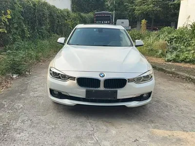 2016 BMW 3 Series 320Li Fashion Model, фото 1, лот 11191849