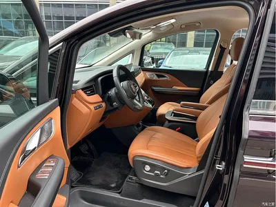 2024 Hongqi HQ9 PHEV Model 2.0T AWD Business Edition, фото 4, лот 10287854