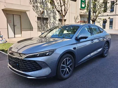 2025 Byd Qin, фото 1, лот 10248418