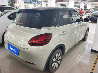 2023 Wuling Motors Wuling Bingo 333km Joyful Version, фото 3, лот 10367343