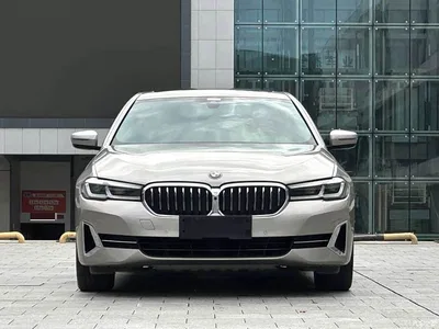 2022 BMW 5 Series Facelift 530Li Premium Luxury Package, фото 2, лот 10445983