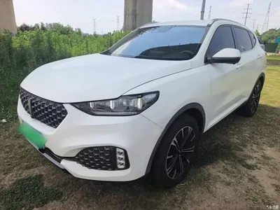 2020 WEY VV6 2.0T 2WD Smart Protection+, фото 2, лот 10452302