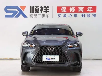 2023 Lexus NX 260 FWD Creative Travel Special Edition, фото 2, лот 10829391