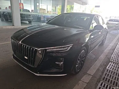 2024 Hongqi H5 2.0T Automatic Smart Connect Flag Smooth Edition, фото 1, лот 10289524