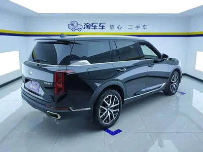 2022 GAC Trumpchi Trumpchi GS8 Pilot Series 2.0TGDI 2WD Luxury Smart Connect Edition (7-Seater), фото 3, лот 10415510