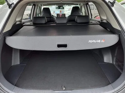 2020 Toyota RAV4 Rongfang 2.0L CVT 2WD Fashion PLUS, фото 4, лот 10626279