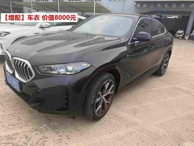 2023 BMW X6 xDrive40i M Sport Package, фото 1, лот 10662856