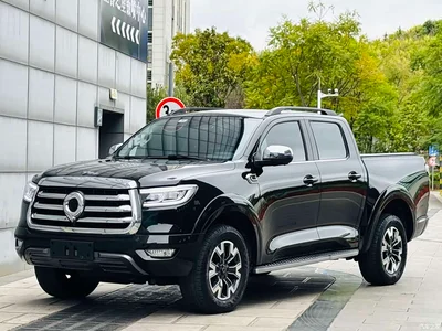 2021 Great Wall Pao 2.0T Passenger Global Edition Automatic Diesel 4WD Sport Standard Box GW4D20M, фото 1, лот 11574731