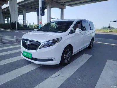 2018 Buick GL8 ES 28T Flagship Type China VI, фото 2, лот 10258237