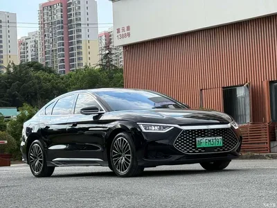 2023 BYD Han DM-i Champion Edition 121KM Premium, фото 1, лот 10306370