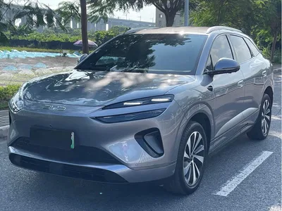 2025 BYD Sealion 06 New Energy Model EV 520 Pilot Edition, фото 1, лот 10274743