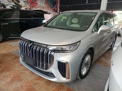 2024 Voyah Auto Voyah Dreamer PHEV Extended Range Premium Edition, фото 1, лот 10358018