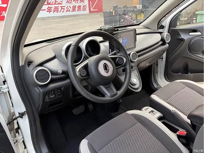 2021 Ora Black Cat 301km Basic Model, фото 4, лот 11175180