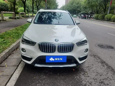 2018 BMW X1 xDrive20Li Premium Model, фото 2, лот 11202302