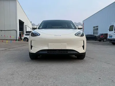 2025 Geely Galaxy Starry Wish 310km Youth Edition, фото 2, лот 10834584