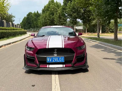 2016 Ford Mustang 2.3T Performance Edition, фото 2, лот 10280298
