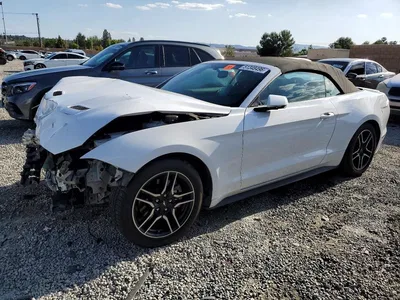 2019 FORD MUSTANG, фото 1, лот 10557620