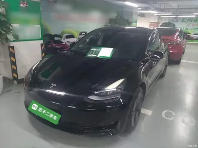 2022 Tesla Model 3 Model Rear-Wheel Drive Version, фото 2, лот 10331442