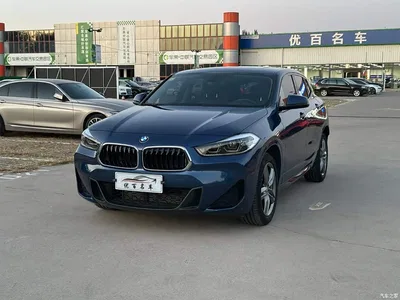 2021 BMW X2 Facelift sDrive25i M Sport Package, фото 1, лот 10605398