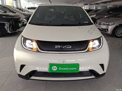 2023 BYD Dolphin 420km Freedom Edition, фото 3, лот 11197271