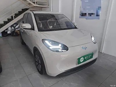 2023 Wuling Motors Wuling Bingo Model 333km Joy+ Version, фото 4, лот 10371059