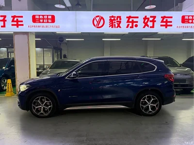 2017 BMW X1 New Energy xDrive25Le, фото 3, лот 10626260