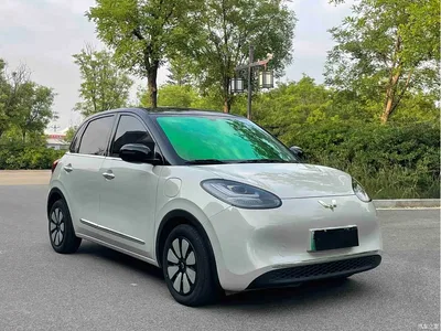 2024 Wuling Motors Wuling Bingo 333km Comfort Edition, фото 3, лот 10367395