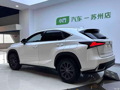 2020 Lexus NX 200 AWD F Sport China VI, фото 4, лот 10316966