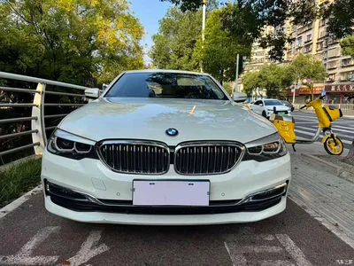 2019 BMW 5 Series 530Li Leading Luxury Package, фото 2, лот 11181442