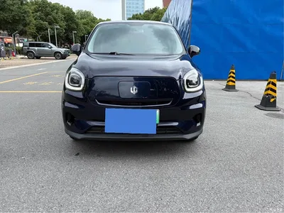 2021 Leapmotor T03 400 Comfort Edition, фото 2, лот 11073487