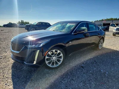 2020 CADILLAC CT5 PREMIUM LUXURY, фото 1, лот 10653029