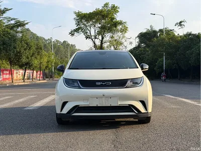 2023 BYD Dolphin 420km Fashion Edition, фото 2, лот 11182105
