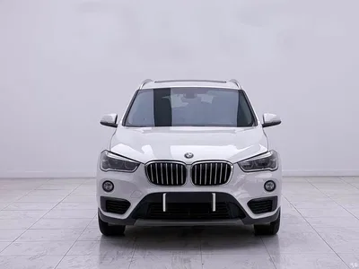 2019 BMW X1 sDrive20Li Leading Model, фото 2, лот 10424321