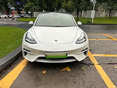 2019 Tesla Model 3 (Import) Standard Range RWD Upgraded Edition, фото 2, лот 11243193