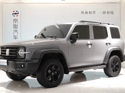 2021 Tank 300 Off-road Version 2.0T Conqueror, фото 1, лот 11459834