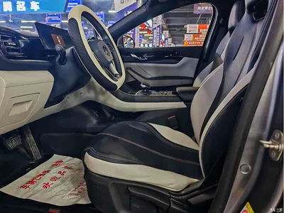 2023 BYD Qin PLUS Champion Edition DM-i 55KM Leading, фото 4, лот 11011400