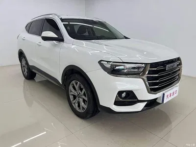 2021 Haval H6 Model National Trend Edition 1.5T Auto Champion, фото 3, лот 10435416