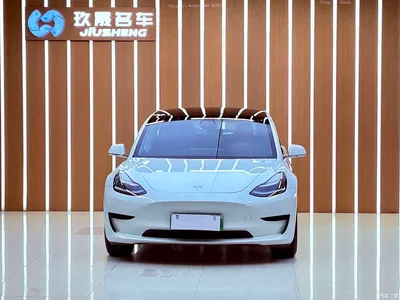 2019 Tesla Model 3 (Import) Standard Range RWD Upgraded Edition, фото 2, лот 10362658