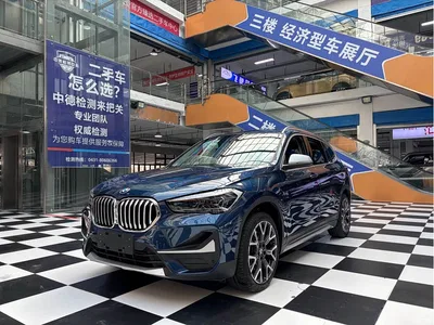2021 BMW X1 xDrive25Li Exclusive, фото 1, лот 10466488