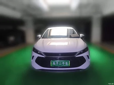 2024 BYD Qin L DM-i 80KM Superior, фото 2, лот 10285029