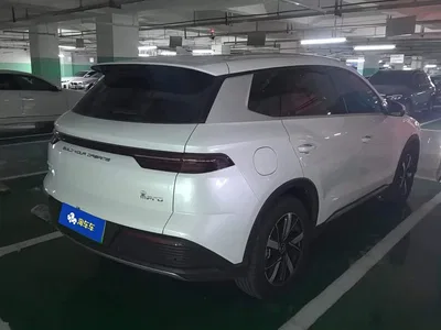 2023 BYD Song Pro New Energy Champion Edition DM-i 71KM Leading Type, фото 3, лот 10397987