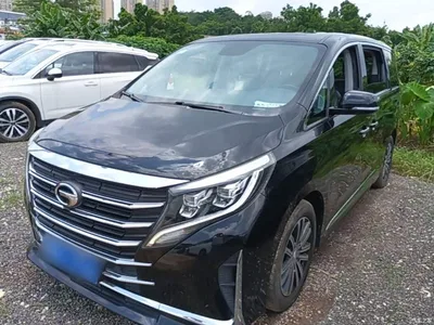2021 GAC Trumpchi Trumpchi M8 Leading Show Series 390T Prestige Edition, фото 2, лот 10422596