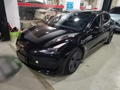 2022 Tesla Model 3 Model Rear-Wheel Drive Version, фото 2, лот 10666838