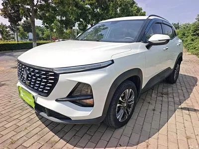 2020 Baojun RS-3 Model 1.5L Manual 24-hour Online Elite, фото 1, лот 10408843