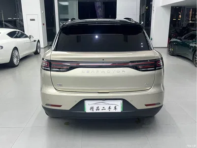 2027 Leapmotor C11, фото 4, лот 10507504