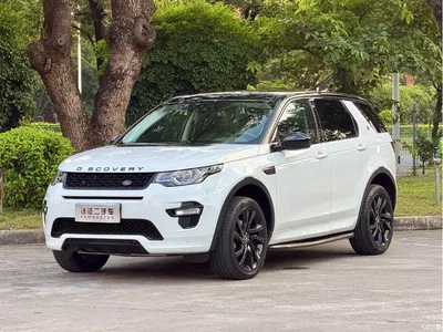 2019 Land Rover Discovery Sport 240PS SE Dynamic Edition China VI, фото 1, лот 10446563