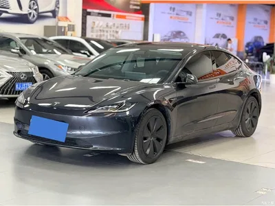 2025 Tesla Model 3 Model Year Facelift Rear-Wheel Drive, фото 1, лот 10358864
