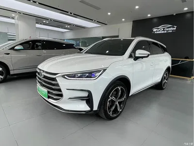 2021 BYD Tang New Energy DM-i 112KM Premium, фото 1, лот 11182324