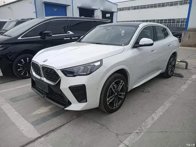 2024 BMW X2 (Import) sDrive25i M Sport Package, фото 2, лот 10621540
